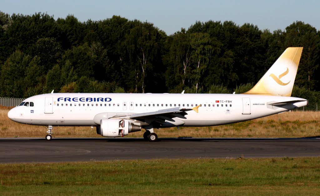 Freebird Airlines,TC-FBH,(c/n4207),Airbus A320-214,21.07.2013,HAM-EDDH,Hamburg,Germany