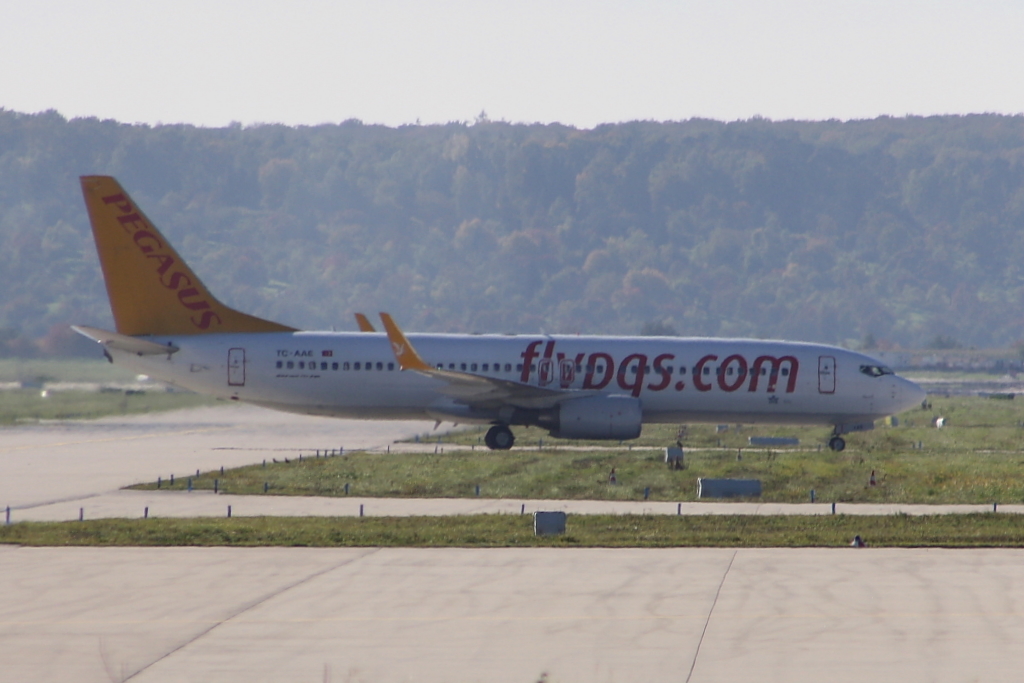 Pegasus Airlines 
Boeing 737-82R
Stuttgart
10.10.10