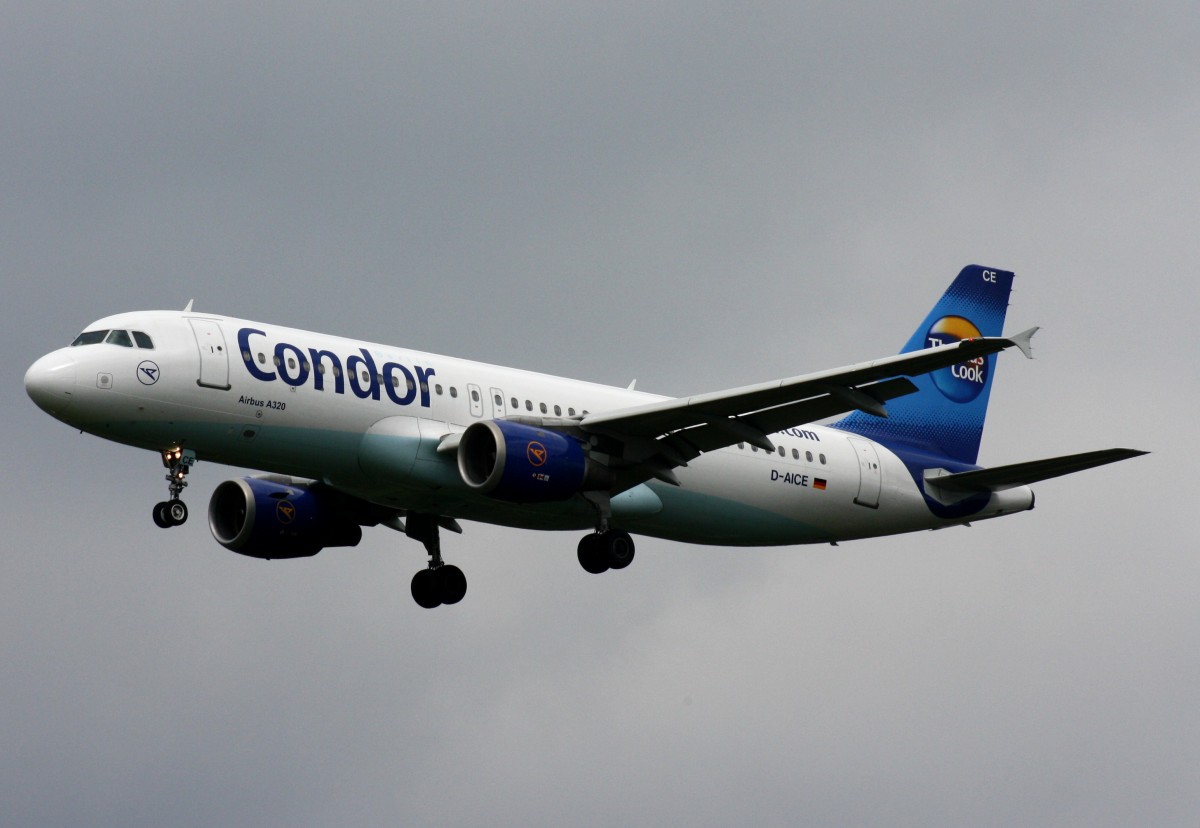 Condor Berlin,D-AICE,(c/n894),Airbus A320-212,17.08.2013,HAM-EDDH,Hamburg,Germany