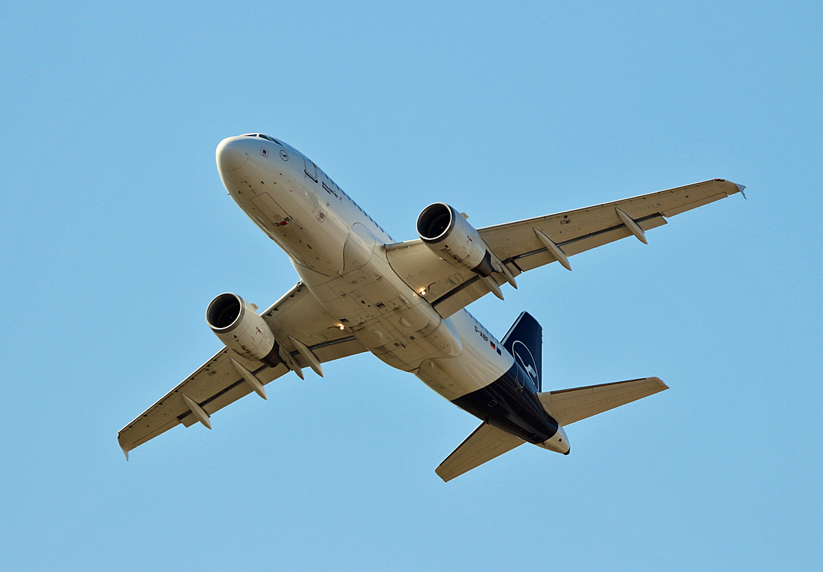 Lufthansa, Airbus A 319-112, D-AIBF  Sinsheim , BER, 01.09.2024