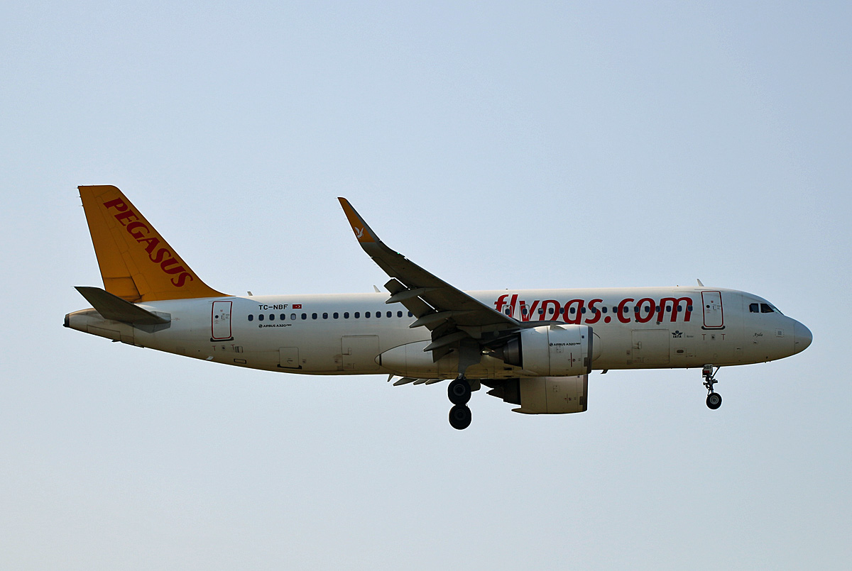 Pegasus, Airbus A 320-251N, TC-NBF, BER, 25.07.2024