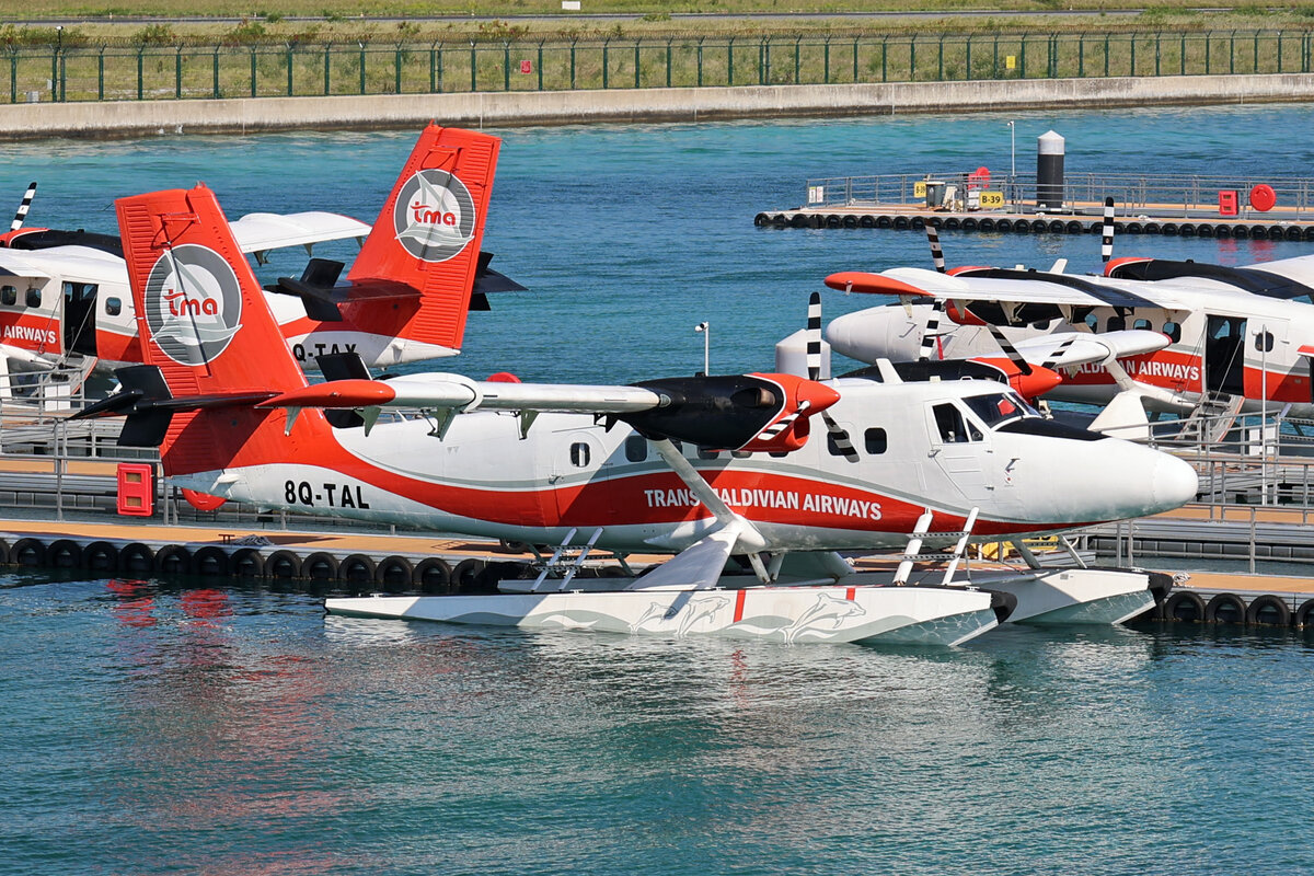 Trans Maldivian Airways, 8Q-TAL, De Havilland Canada DHC-6-300 Twin Otter, msn: 324, 08.Dezember 2024, MLE Malé, Maldives.