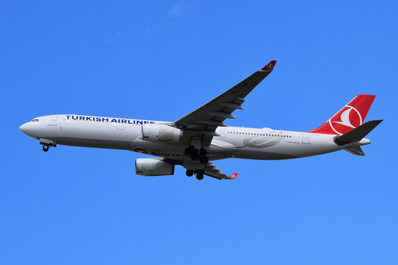 TC-LOF , Turkish Airlines , Airbus A330-343 , Berlin-Brandenburg  Willy Brandt  , BER , 14.07.2024 ,