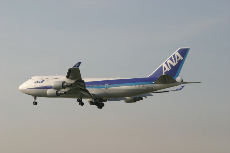 ANA JA8958 in Frankfurt