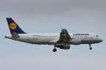 Lufthansa, D-AIZO  ohne , Airbus, A 320-200, 15.09.2014, FRA-EDDF, Frankfurt, Germany