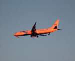 Trkischer Ferienflieger, eine Boeing 737-86N Registriernr. TC-SUV von SunExpress beim Landeanflug zum Flughafen Berlin Tegel bei gerade rotgelb aufgehener Sonne am Morgen des 12.01.08 Berlin Pankow.