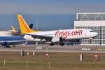 TC-AAI  Gülce  / Pegasus Airlines / B737-82R(W) bei der Landung in MUC aus Istanbul (SAW) 28.12.2013