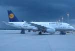 Lufthansa Airbus A 319-100 D-AILY Flug^hafen Mnchen10.05.2010